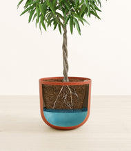 Load image into Gallery viewer, Earth Red