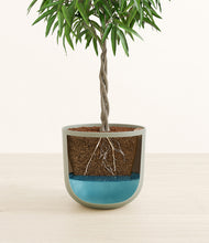 Load image into Gallery viewer, Sage Green