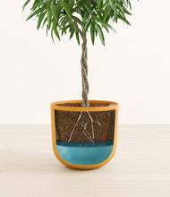 Load image into Gallery viewer, Sunset Orange