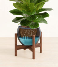 Load image into Gallery viewer, Deep Navy stand:walnut