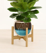 Load image into Gallery viewer, Shiny EggWhite stand:bamboo