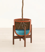 Load image into Gallery viewer, Earth Red stand:walnut