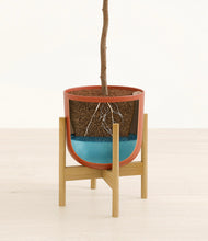 Load image into Gallery viewer, Earth Red stand:bamboo
