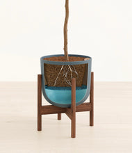 Load image into Gallery viewer, Iron Gray stand:walnut