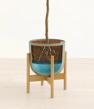 Load image into Gallery viewer, Sage Green stand:bamboo