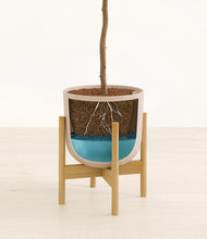 Load image into Gallery viewer, Sandy Pink stand:bamboo