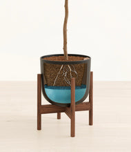 Load image into Gallery viewer, Stone Black stand:walnut