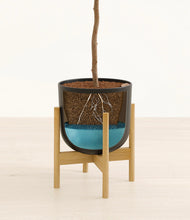 Load image into Gallery viewer, Stone Black stand:bamboo