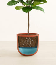 Load image into Gallery viewer, Earth Red