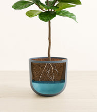 Load image into Gallery viewer, Iron Gray