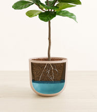 Load image into Gallery viewer, Sandy Pink