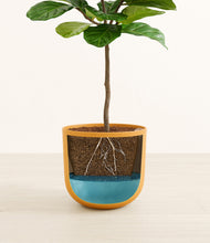 Load image into Gallery viewer, Sunset Orange