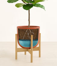 Load image into Gallery viewer, Earth Red stand:bamboo