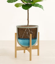 Load image into Gallery viewer, Sage Green stand:bamboo