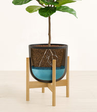 Load image into Gallery viewer, Stone Black stand:bamboo