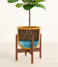 Load image into Gallery viewer, Sunset Orange stand:walnut