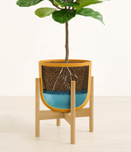 Load image into Gallery viewer, Sunset Orange stand:bamboo