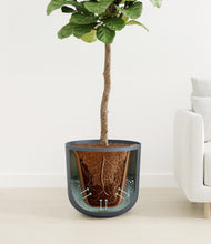 Load image into Gallery viewer, Iron Gray