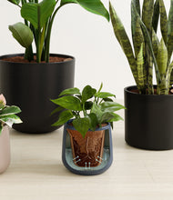 Load image into Gallery viewer, Charcoal stand:all