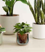 Load image into Gallery viewer, Earthy stand:all