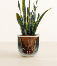 Load image into Gallery viewer, Natural Bamboo stand:all