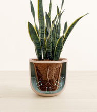 Load image into Gallery viewer, Sandy Pink stand:all