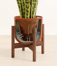 Load image into Gallery viewer, Earth Red stand:walnut