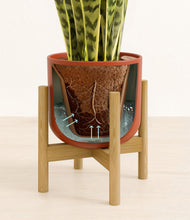 Load image into Gallery viewer, Earth Red stand:bamboo