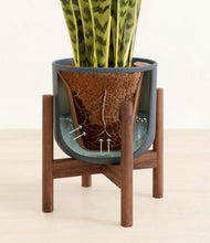 Load image into Gallery viewer, Iron Gray stand:walnut