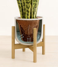 Load image into Gallery viewer, Natural Bamboo stand:bamboo