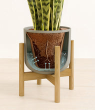 Load image into Gallery viewer, Sage Green stand:bamboo