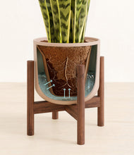 Load image into Gallery viewer, Sandy Pink stand:walnut