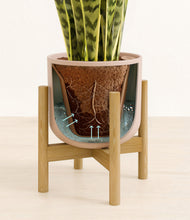 Load image into Gallery viewer, Sandy Pink stand:bamboo