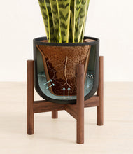 Load image into Gallery viewer, Stone Black stand:walnut