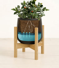 Load image into Gallery viewer, Black stand:bamboo