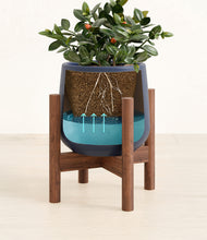 Load image into Gallery viewer, Deep Navy stand:walnut