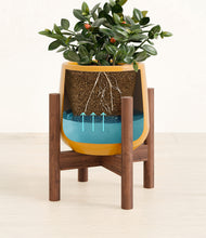 Load image into Gallery viewer, Mustard stand:walnut