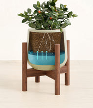 Load image into Gallery viewer, Turquoise stand:walnut