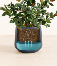 Load image into Gallery viewer, Deep Navy