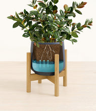 Load image into Gallery viewer, Deep Navy stand:bamboo