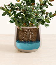 Load image into Gallery viewer, Eternal Gray