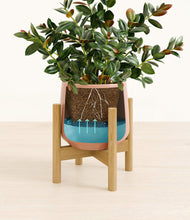 Load image into Gallery viewer, Calm Rose stand:bamboo