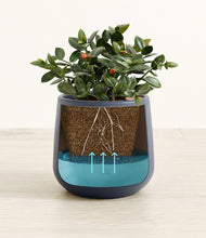 Load image into Gallery viewer, Deep Navy