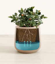 Load image into Gallery viewer, Eternal Gray