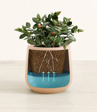 Load image into Gallery viewer, Gentle Pink