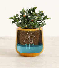 Load image into Gallery viewer, Mustard