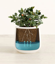 Load image into Gallery viewer, White