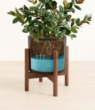 Load image into Gallery viewer, Black stand:walnut