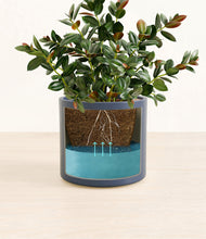 Load image into Gallery viewer, Deep Navy