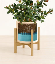 Load image into Gallery viewer, Cream stand:bamboo